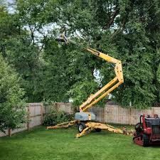 Best Artificial Turf Installation  in Irving, TX